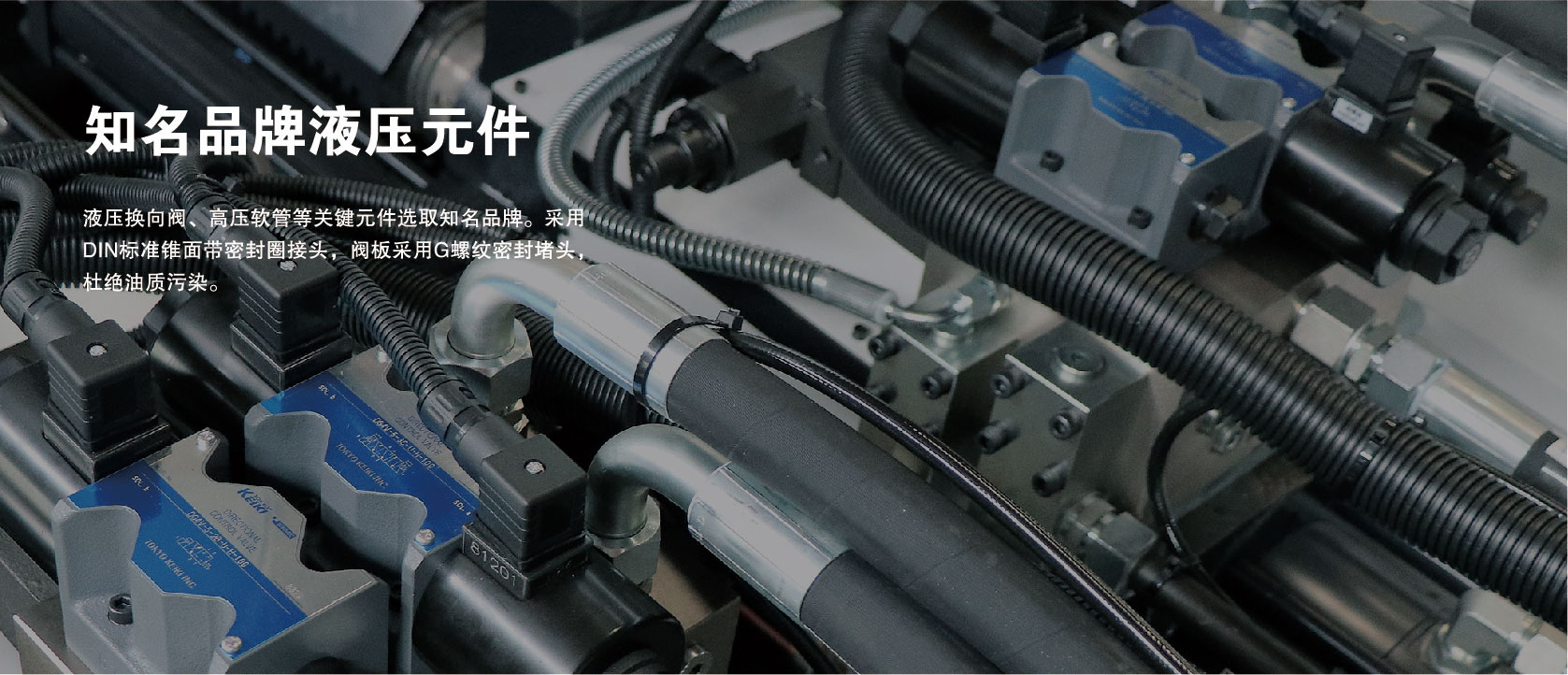 &#20122;&#32654;&#40;&#20013;&#22269;&#41;&#20307;&#32946;&#23448;&#26041;&#32593;&#31449;
